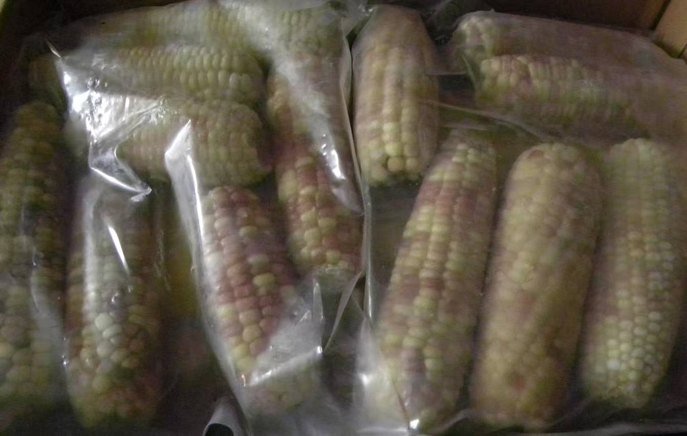 单冻糯玉米棒(IQF glutinous corn cob).jpg.jpg