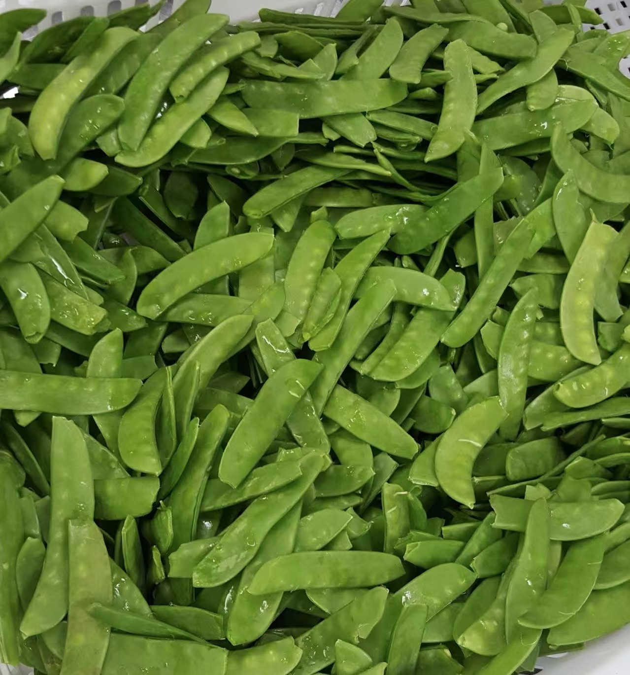 单冻荷兰豆(IQF pea pods).jpg.jpg