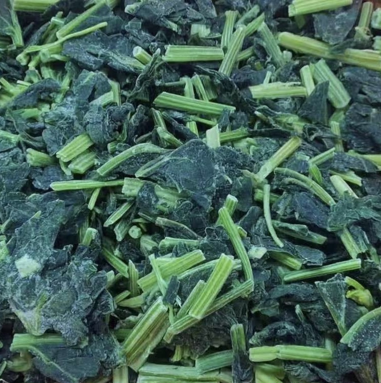 单冻菠菜段(IQF spinach segment for Japanese market).jpg.jpg