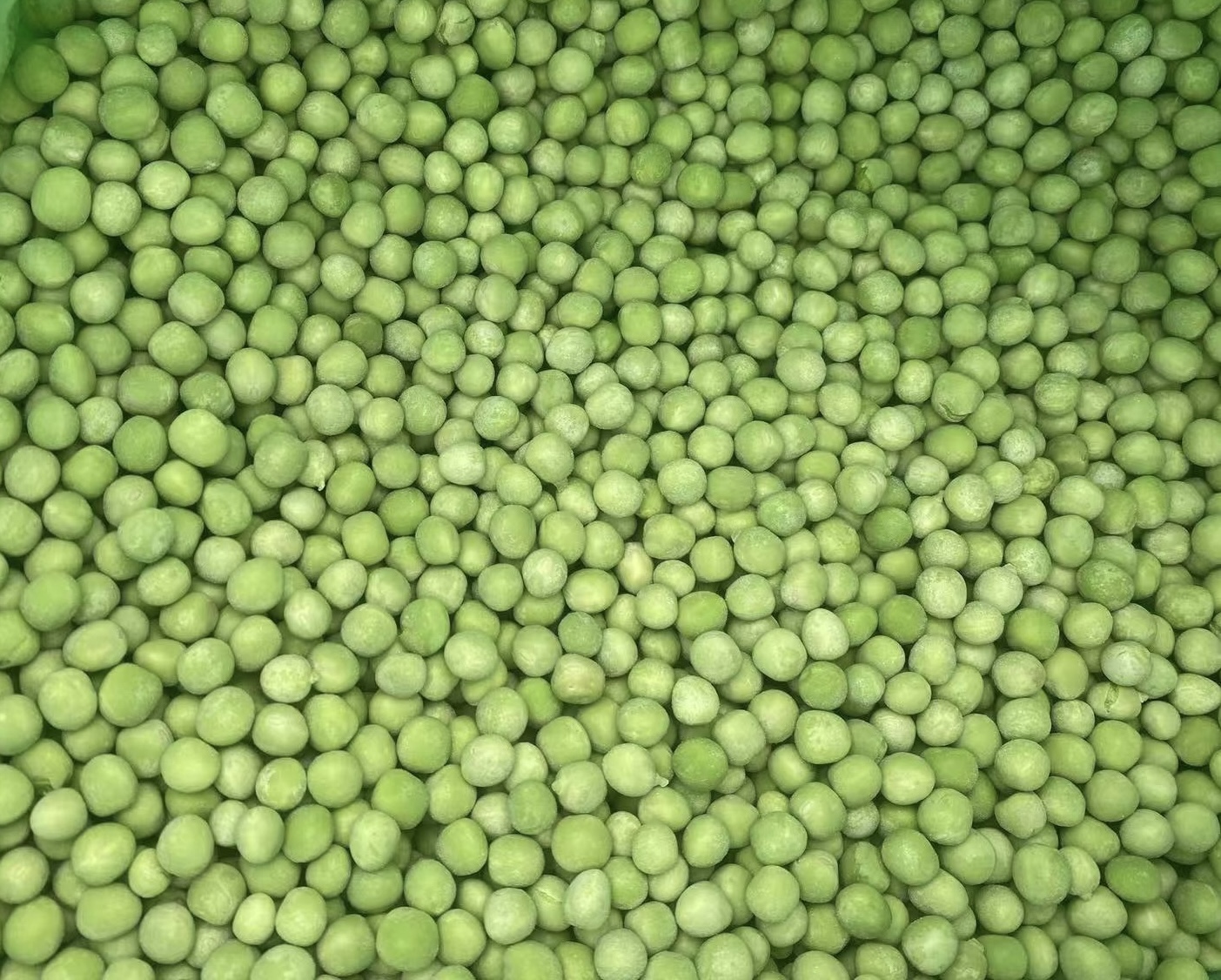 单冻青豆粒(IQF green peas).jpg.jpg